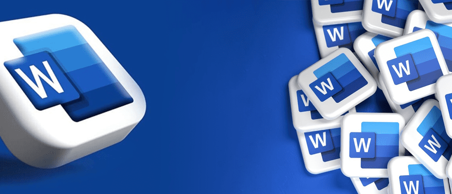 Microsoft Word